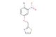 2-((4-bromo-3-nitrophenoxy)methyl)thiazole
