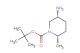 tert-butyl (2S,5R)-5-amino-2-methylpiperidine-1-carboxylate