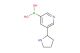 (5-(Pyrrolidin-2-yl)pyridin-3-yl)boronic acid