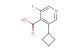 3-cyclobutyl-5-fluoroisonicotinic acid