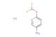 6-(difluoromethoxy)pyridin-3-amine hydrochloride