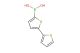 2,2'-bithiophene-5-boronic acid