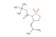 tert-butyl (S)-4-isobutyl-1,2,3-oxathiazolidine-3-carboxylate 2,2-dioxide
