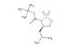tert-butyl (R)-4-isobutyl-1,2,3-oxathiazolidine-3-carboxylate 2,2-dioxide