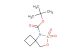 tert-butyl 7-oxa-6-thia-5-azaspiro[3.4]octane-5-carboxylate 6,6-dioxide