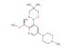 (S)-1-(5-(5,5-dimethyl-1,3,2-dioxaborinan-2-yl)-6-(1-methoxyethyl)pyridin-3-yl)-4-methylpiperazine