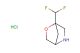 1-(difluoromethyl)-2-oxa-5-azabicyclo[2.2.1]heptane hydrochloride