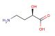 (R)-4-Amino-2-hydroxybutanoic acid