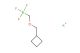 potassium ((cyclobutylmethoxy)methyl)trifluoroborate