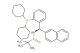 [S(R)]-N-[(R)-[2-(Dicyclohexylphosphino)phenyl]-2-naphthalenylmethyl]-2-dimethyl-2-propanesulfinamide