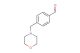 4-(morpholinomethyl)benzaldehyde