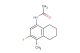 N-(3-fluoro-4-methyl-5,6,7,8-tetrahydro-1-naphthyl)acetamide