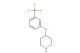 4-(3-(trifluoromethyl)phenoxy)piperidine