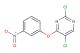 2,5-dichloro-4-(3-nitrophenoxy)pyrimidine