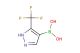 5-trifluoromethyl-1H-pyrazol-4-yl boronic acid