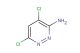 4,6-dichloropyridazin-3-amine
