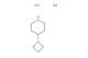 4-(azetidin-1-yl)piperidine dihydrochloride
