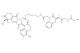 GGFG-amide-glycol-amide-Exatecan