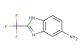 2-(trifluoromethyl)-1H-benzo[d]imidazol-5-amine
