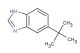 5-(tert-butyl)-1H-benzo[d]imidazole