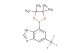 4-(tetramethyl-1,3,2-dioxaborolan-2-yl)-6-(trifluoromethyl)-3H-1,3-benzodiazole