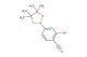 2-hydroxy-4-(4,4,5,5-tetramethyl-1,3,2-dioxaborolan-2-yl)benzonitrile