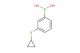 3-(cyclopropylthio)phenylboronic acid