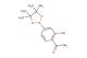 1-[2-hydroxy-4-(4,4,5,5-tetramethyl-1,3,2-dioxaborolan-2-yl)phenyl]Ethanone