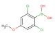 (2,6-Dichloro-4-methoxyphenyl)boronic acid