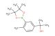 2-(4-methyl-3-(4,4,5,5-tetramethyl-1,3,2-dioxaborolan-2-yl)phenyl)propan-2-ol