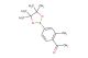 1-[2-methyl-4-(tetramethyl-1,3,2-dioxaborolan-2-yl)phenyl]ethanone