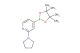 2-(pyrrolidin-1-yl)-4-(4,4,5,5-tetramethyl-1,3,2-dioxaborolan-2-yl)pyridine