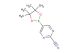 5-(4,4,5,5-tetramethyl-1,3,2-dioxaborolan-2-yl)pyrimidine-2-carbonitrile