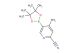 4-methyl-5-(4,4,5,5-tetramethyl-1,3,2-dioxaborolan-2-yl)pyridine-2-carbonitrile