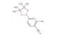 2-amino-4-(tetramethyl-1,3,2-dioxaborolan-2-yl)benzonitrile