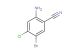 2-Amino-5-bromo-4-chlorobenzonitrile