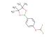 2-(4-(difluoromethoxy)phenyl)-4,4,5,5-tetramethyl-1,3,2-dioxaborolane