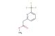 methyl 2-[6-(trifluoromethyl)pyridin-2-yl]acetate