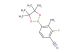2-fluoro-3-methyl-4-(4,4,5,5-tetramethyl-1,3,2-dioxaborolan-2-yl)benzonitrile