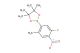 2-(5-fluoro-2-methyl-4-nitrophenyl)-4,4,5,5-tetramethyl-1,3,2-dioxaborolane