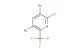 3,5-dibromo-2-chloro-6-(trifluoromethyl)pyridine
