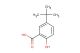 5-tert-butyl-2-hydroxybenzoic acid