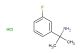 2-(3-fluorophenyl)propan-2-amine hydrochloride