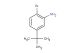 2-bromo-5-(tert-butyl)aniline