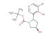 tert-butyl (2S,4R)-2-(5-bromo-4-hydroxypyridin-3-yl)-4-hydroxypyrrolidine-1-carboxylate