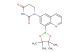 1-[8-(4,4,5,5-tetramethyl-1,3,2-dioxaborolan-2-yl)quinolin-6-yl]-1,3-diazinane-2,4-dione