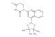 1-[8-(4,4,5,5-tetramethyl-1,3,2-dioxaborolan-2-yl)phthalazin-6-yl]-1,3-diazinane-2,4-dione