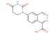 6-(2,4-dioxo-1,3-diazinan-1-yl)phthalazine-1-carboxylic acid