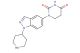 1-[1-(piperidin-4-yl)-1H-indazol-5-yl]-1,3-diazinane-2,4-dione