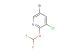 5-Bromo-3-chloro-2-(difluoromethoxy)pyridine